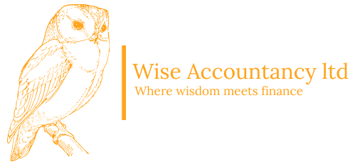 Wise accountancy Ltd